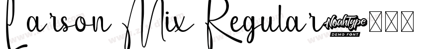 Larson Mix Regular字体转换